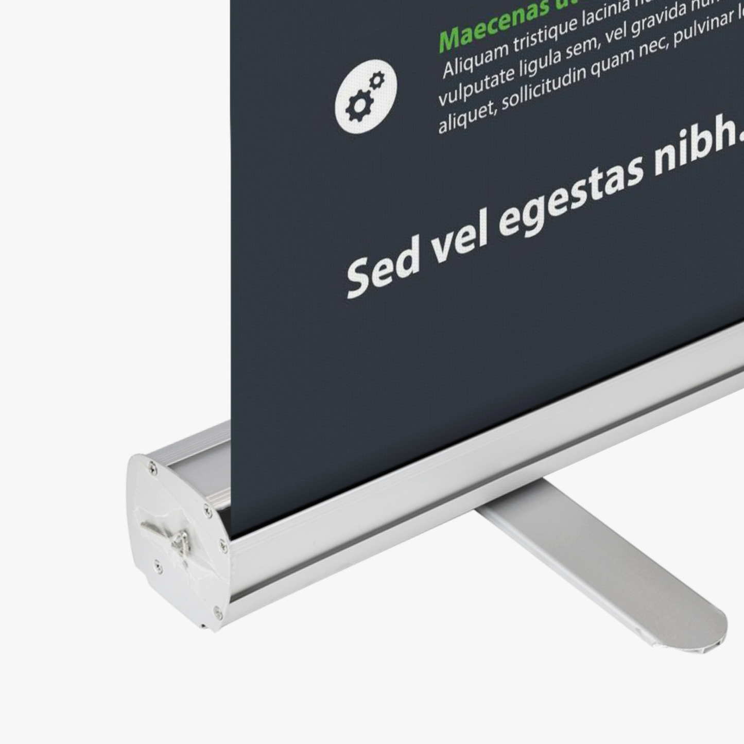 Standard Roll-Up Banner